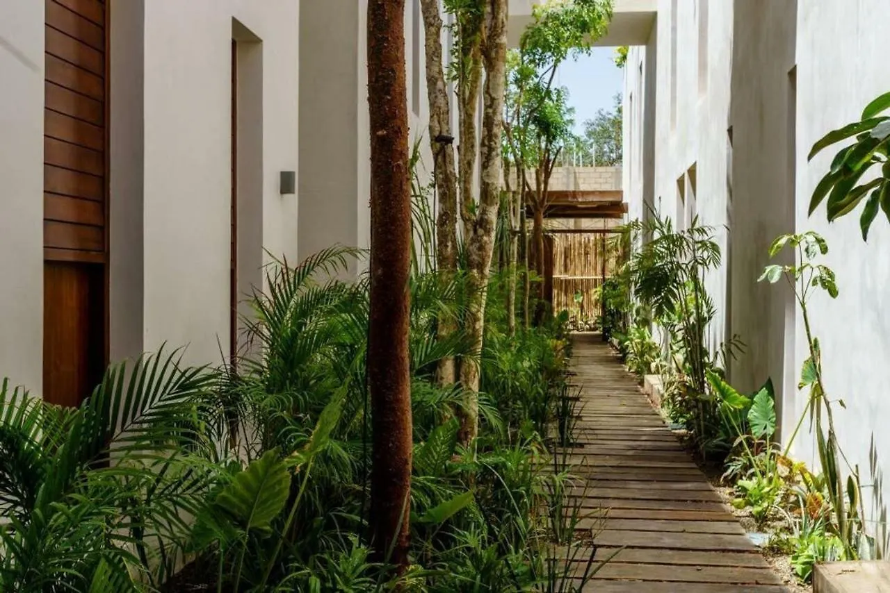 Jungle Luxury In Private Residential Area & Stunning Rooftop By Stella Rentals Tulum Mexico